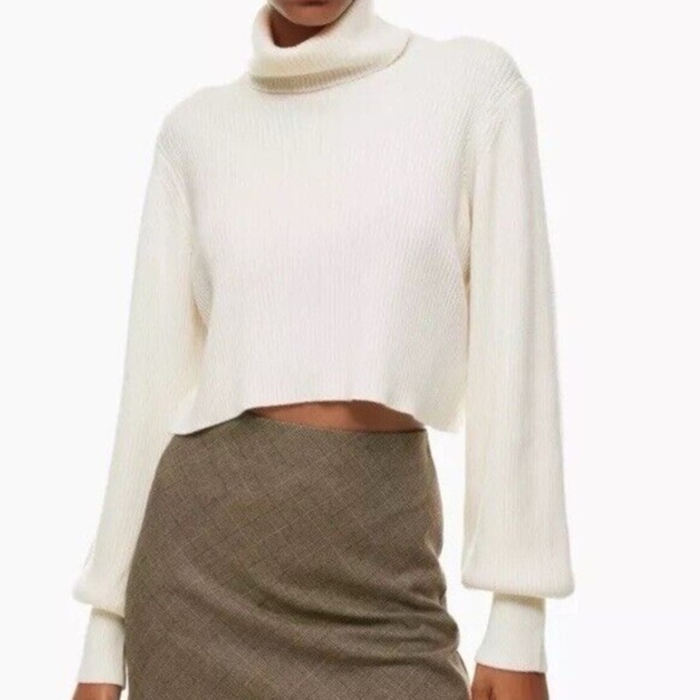 Aritzia Rebecca Turtleneck - size M